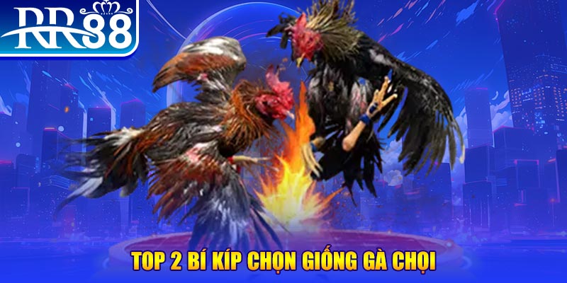 mb66 bắn cá h5