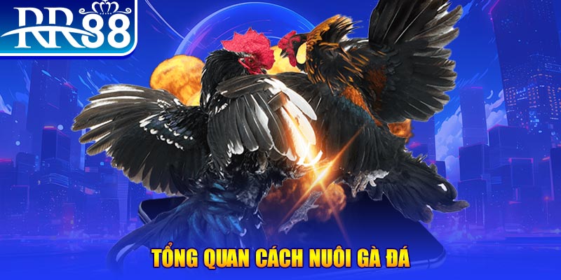 mb66 xổ số thứ ba