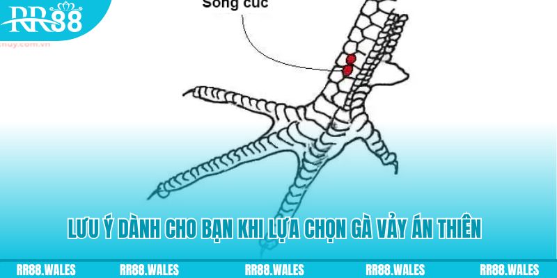 mb66 xổ số khánh hòa