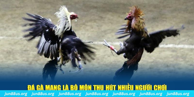 mb66 xổ số long an