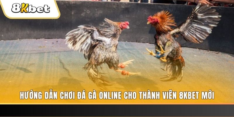 mb66 nổ hũ đổi thưởng . ai