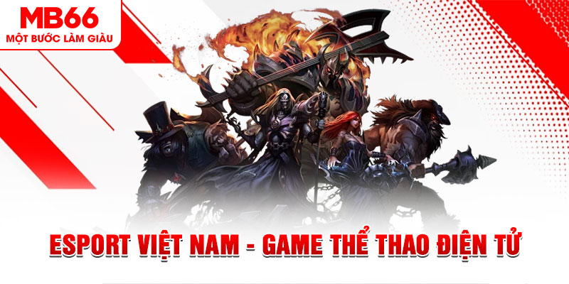 mb66 PT Điện Tử