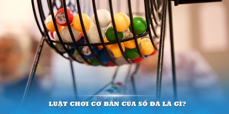 mb66 Đĩa màu ace