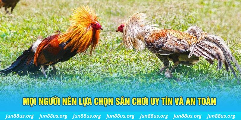 mb66 Tài Xỉu